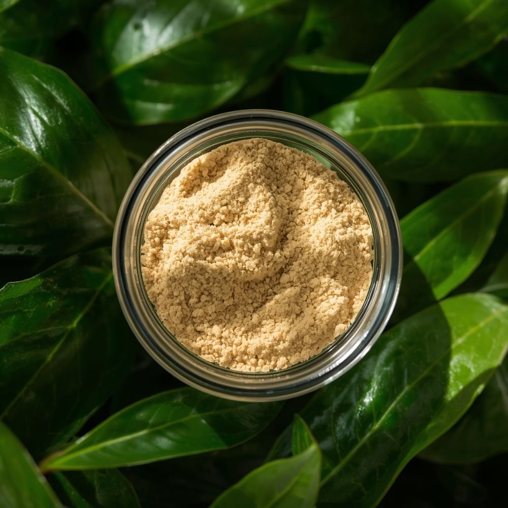 Guar Gum Powder